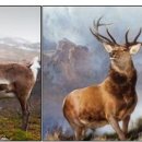 루돌프(Rudolph) 사슴코 이미지