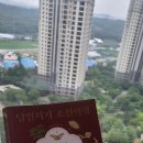 당일치기 조선여행