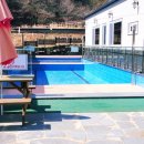 다이노 꽃밭에서 이미지