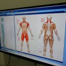 지지밍고 이미지