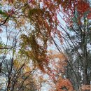 속리산보건지소 이미지