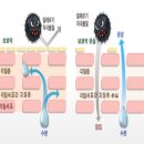 엠뷰티스킨케어