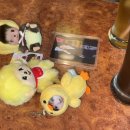 보현다방 이미지