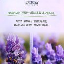 발리아모코스메틱 이미지