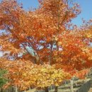 동일파크맨션1 이미지