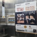 스칼프디자인센터 - 천안시 서북구 번영로 201 | 울산 남구 눈썹문신 추천 모마인드 스칼프 디자인센터 자연스러운 헤어스트록 후기