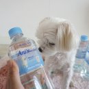 한국알카리수(주) 이미지