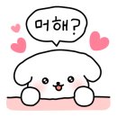 코지의사진과여행 이미지