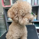 견생스타일 이미지