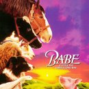 꼬마 돼지 베이브 (Babe, 1995) 이미지