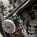 수컷웅샵 이미지