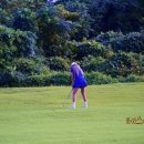서노투어 | 제주도 2인 골프장 예약 눈치 볼 필요 없는 완벽한 휴가 제주 라온CC 노캐디 부킹 리얼 후기