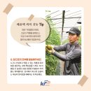 손씨농장 이미지