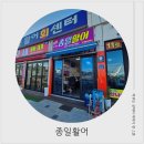 종일활어 이미지