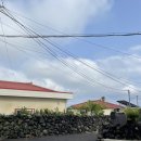 웅이민박 | 제주 카페) 조용하고 따뜻한 분위기의, 귀여운 케이크와 고양이가 있는 곳 ㅣ이정의댁