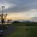 플라밍고C.C 이미지