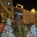 원터1길 | 여수 라테라스 리조트 원터빌리지 후기(관람꿀팁 공유)