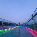 아라상회 - 제주시 | 아라상회