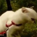 로그인 하도 이미지