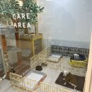 웰니스 동물병원 (구리점) 이미지