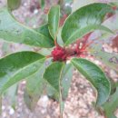 소가야가는길 이미지