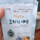 아리엘미문 이미지