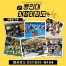 금오태권도 이미지