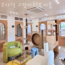 우다닥 고양이호텔 | 서울 송파구 애견호텔 우다닥 고양이호텔 미용 가격 위치 리뷰