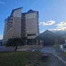 피노호텔 | 성수기 숙소 걱정 끝 소노호텔앤리조트 델피노 회원권으로 다녀온 리얼 후기