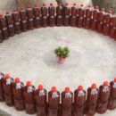 농부네텃밭민박 이미지