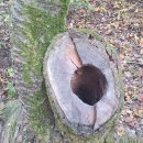 녹산 약수터 이미지