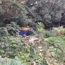 우신공인중개사무소 이미지