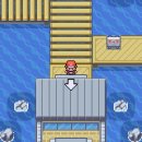 그린체육관 이미지