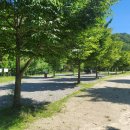 깊은골천 이미지