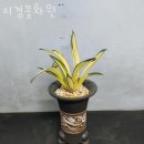 지경꽃화원