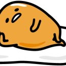 필의원 이미지