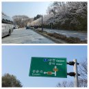 회남면사무소 이미지