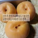 이재익 농장 네이버블로그