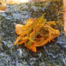 그시절 동태촌 인천연수점 이미지