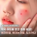 보문약국 이미지