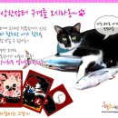 토토흙이야기 이미지
