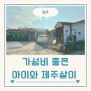 함덕32민박 | 제주도 놀멍쉬멍고르멍 아이와 제주살이 가성비 숙소, 위치 예약 후기