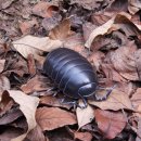 토이박스 이미지