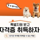 희망애견미용실 이미지