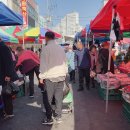 탄지갤러리 이미지
