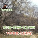 더드림팜