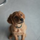 행운동물병원 이미지