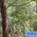 옥천군안남면보건지소 | 옥천 둔주봉 한반도지형 전망대