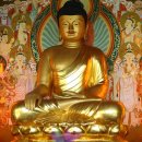 제주 정광사 소조미륵여래입상 이미지