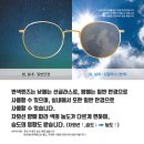 강아지 놀이터 이미지